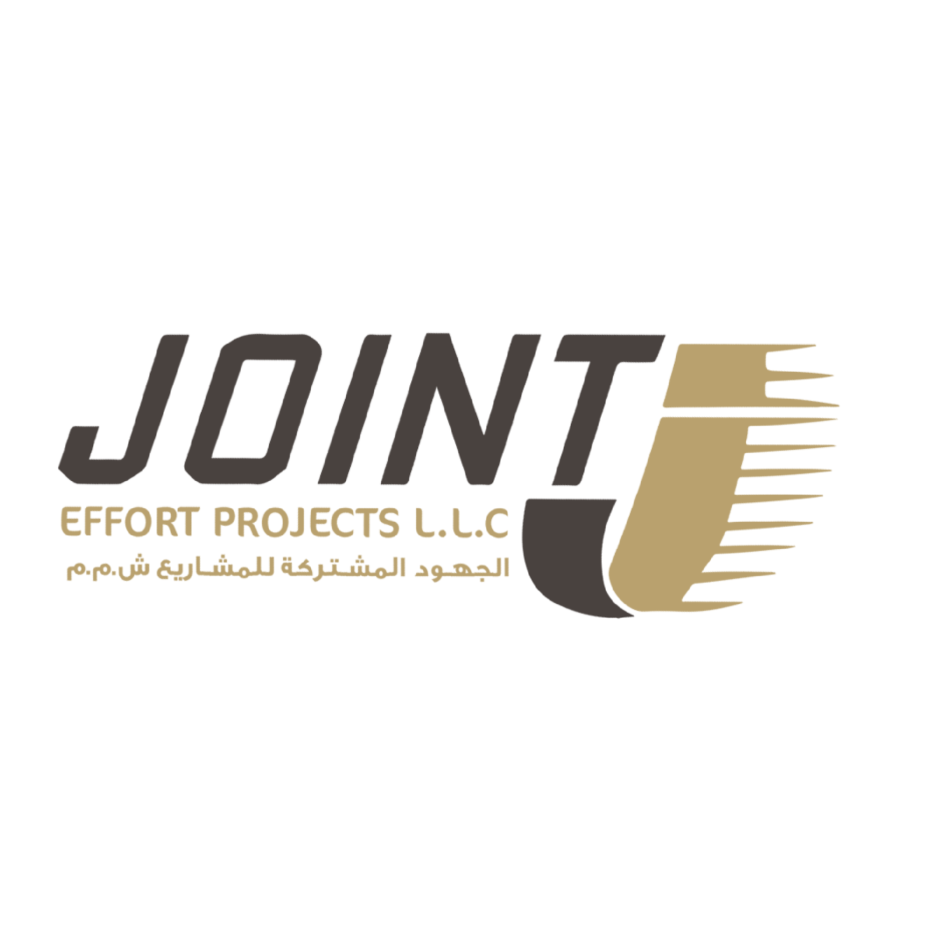 Joint Effort Project LLC